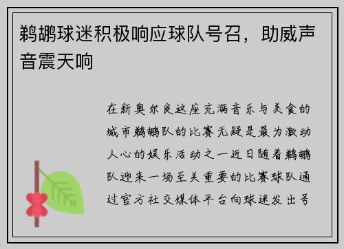 鹈鹕球迷积极响应球队号召，助威声音震天响